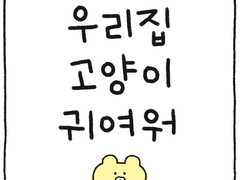 우리집 고양이 귀여워