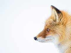 이런 사람과 함께 하면 고급이 된다