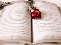 낫깡 글 커미션 페이지