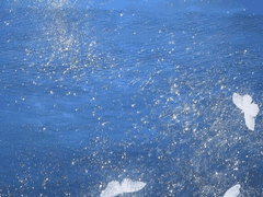 하얀 눈이 따뜻해질 때_2