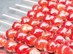 1차원적 쾌락 중독의 무서움