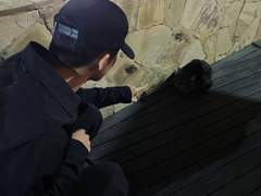 연애전선 최전방 1