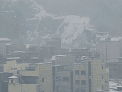 브베의 일상 - 흰눈처럼 하얀 마음으로