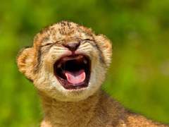 긴급공지입니다!!!