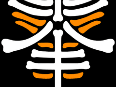 카리스마 하우스 rbb 이오리 뼈 옷