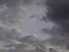 갈피없이 잡는 양피지는 결코 잡히지 않았다.