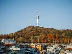 2024년에 금융 자산 10억 이상을 보유한 대한민국 부자들이 주목하는 주요 투자처는 어디일까요?