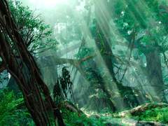 Din’na te niwanai ti'i'aite