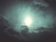 [준수상호] 나의 꿈은 맑은 바람이 되어서 (1)