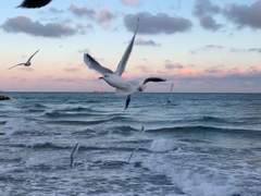 발닦개와 기생충 외전 FW