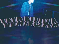 Wanuka Live in Korea 성공이력