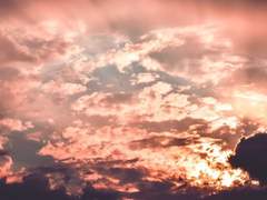 붉은 그리고 푸른