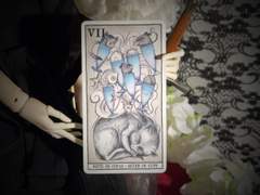 이번 주의 카드: 7 of Cups