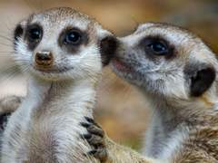 회사에서 절대로 하면 안 되는 것들