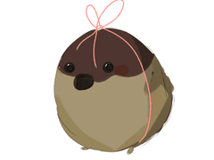 나의 작은 참새에게