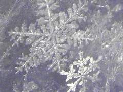 눈의 요정, 스네그로치카