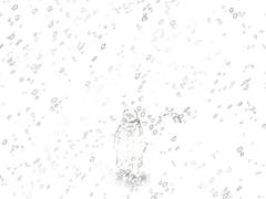 감정의 5가지 형태