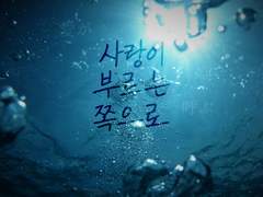 [명헌태섭우성] 사랑이 부르는 쪽으로 (1)