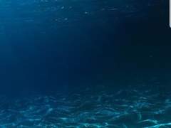 물거품이 되어버린 인어