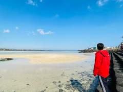 37살 갓생 살기로 마음먹다 5화