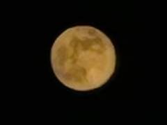 𝖈𝖞𝖓𝖔𝖘𝖚𝖗𝖊.