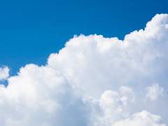 스즈키 젠 / 17 / 남성