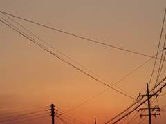 부모님께 한 마디