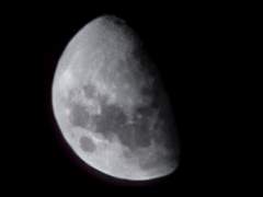 사랑은 꽃을 피운다