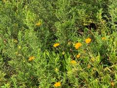 정략결혼 4년차 이혼썰 上