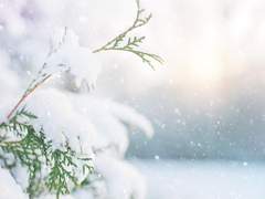 마이 퍼스트 카타코이 #5