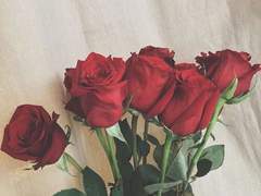 새는 알에서 나오기 위해 투쟁한다.