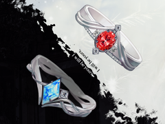 악세사리 백업2