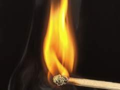 <겨울특강> ᄇᆞᆷ애 해설강의