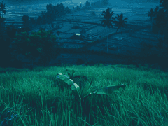 신과 구원의 존재