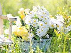 bloom, not wither. 1