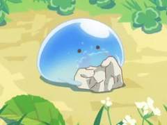 엔시티 나페스 알페스 추천