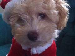 알고보면 모두가 talk