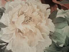 [공지] 2024년 새해맞이 할인/무료 공지