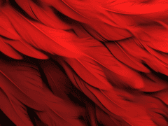 [트라이건] 썰 .1