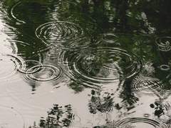 한없이 바스라질 부질없는 생명임에도. 그럼에도 앞으로 나아가고자 하려는 의지이기에