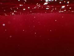 OPERATION: REWIND -2-