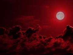 가장 정점에 오르고자 하는 자.