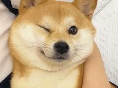 벌써 23년의 마지막 날이네요.