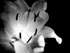 원래부터 내 것이 아니었기에