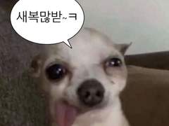 엔시티 노딱 나페스 추천 글 다시 up