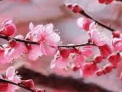 검선이었던 제가 사랑받는 황녀가 되어있습니다.