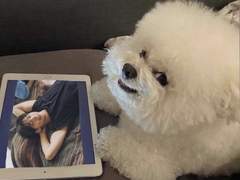 [도리벤 드림 / 범천 드림] 저희는 가좆같은 사이에요! (강아지 편)