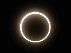 어둠 속에 몸을 맡겨.