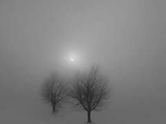 그 겨울이 메마를 때