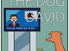 THE DOG DAVID